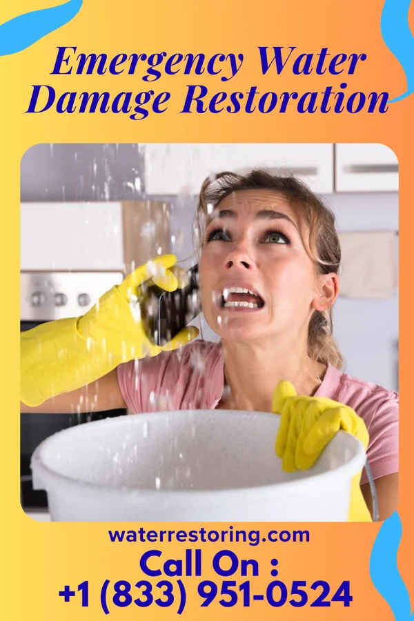 Emergency Water Damage Restoration in Plymouth, PA