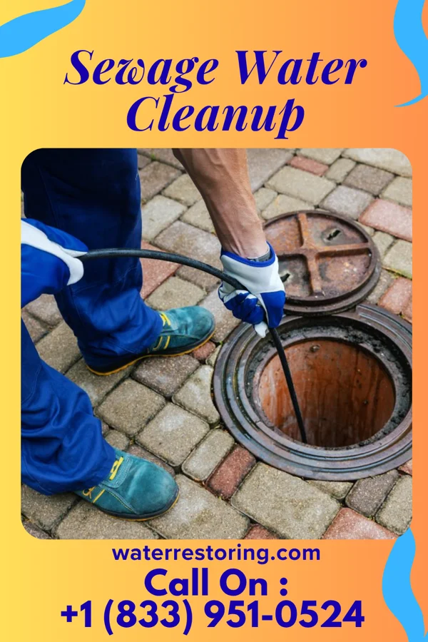 Sewage Water Cleanup in Plymouth, PA